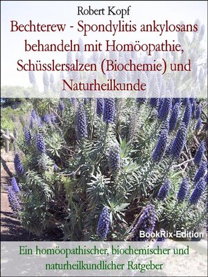 cover image of Bechterew--Spondylitis ankylosans behandeln mit Homöopathie, Schüsslersalzen (Biochemie) und Naturheilkunde